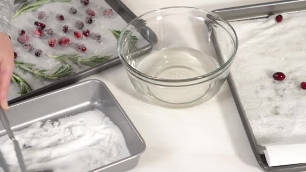 Step Step Covering Fresh Cranberries Rosemary Sugar Decorate Chocolate Bundt — Stock Video