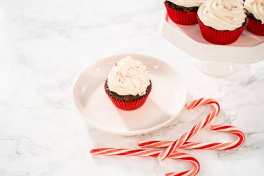 Nane şekerli ve ezilmiş nane şekerli taze pişmiş çikolatalı kekler..