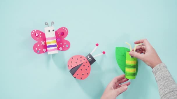 Time Lapse Papercraft Project Colorful Bugs Made Out Empty Toilet — Stock Video