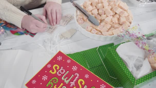 時間の経過 一歩ずつ 手作りのファッジとクッキーをクリスマスギフトボックスにパッケージ化する — ストック動画