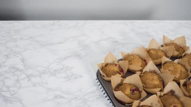 一步一步 新鲜烤红莓松饼冷却 — 图库视频影像
