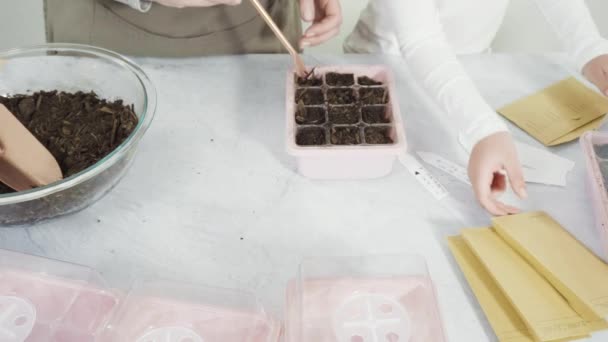 Niña Ayudando Plantar Semillas Propagador Semillas Con Tierra — Vídeo de stock