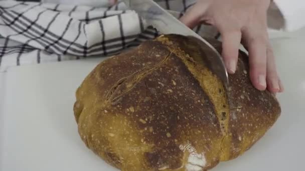 Time Lapse Slicing Freshly Baked Sourdough Wheat Bread White Cutting — Vídeos de Stock