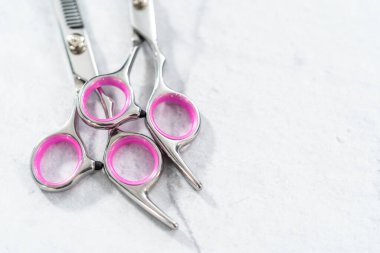 Gri arkaplanda yeni berber pembe makas.