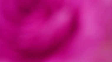 Flat lay. Step by step. Florist arranging a bouquet from pink roses on a pink background.