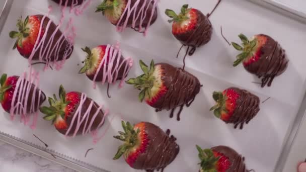 Flat Lay Step Step Variety Chocolate Dipped Strawberries Parchment Paper — Stock Video