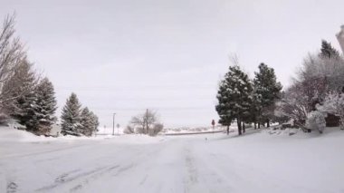 Denver, Colorado, ABD-3 Şubat 2020 - Amerika 'nın lüks semtlerinde tipik kaldırımlı yollarda sürüş.