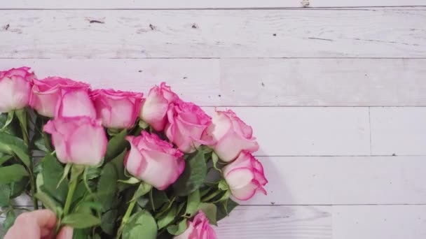 Ležel Prořezávání Růžových Růží Pro Krásnou Kytici — Stock video