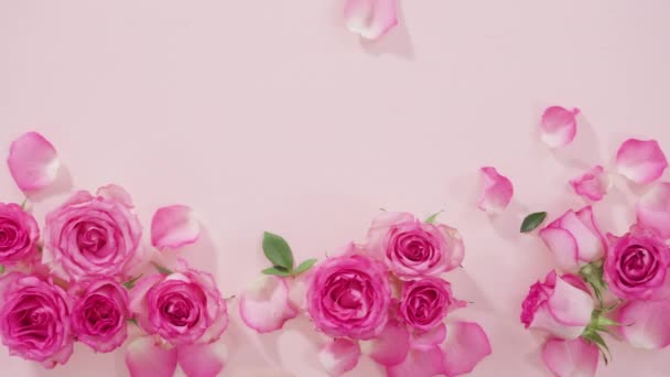 Flach Lag Rosa Rosen Und Rosenblätter Auf Rosa Hintergrund — Stockvideo