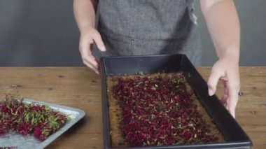 Yayılma tepsisinden makasla turp mikro sebzeleri topluyorum..