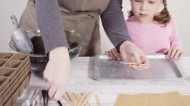 Küçük kız bir okul projesi için bitki tohumlarını küçük kaplara ekmeye yardım ediyor..