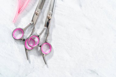 Gri arkaplanda yeni berber pembe makas.