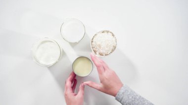 Düz yatıyordu. Ev yapımı hindistan cevizli dondurma hazırlamak için mutfak tezgahındaki malzemeler..