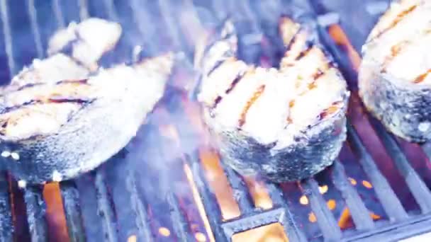 Grilling Salmon Steaks Outdoor Gas Grill — Stock Video
