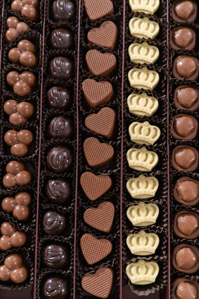 Bir Kutu Gurme Karışık Çikolatalar Büyük Bir Kutuda — Stok fotoğraf