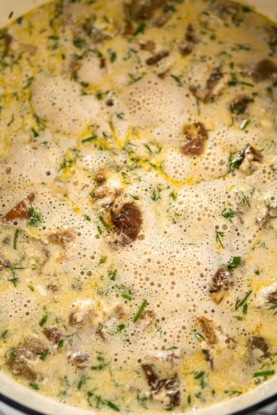 Memasak Sup Jamur Liar Yang Dibuat Dalam Oven Belanda Berenamel — Stok Foto