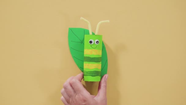 Kağıt Işleri Projesi Boş Tuvalet Kağıtlarından Yapılmış Renkli Böcekler — Stok video