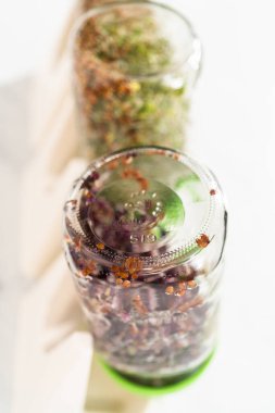 Altıncı gün. Mutfak tezgahında filizlenen kapağı olan bir kavanozda organik filizler yetişiyor..