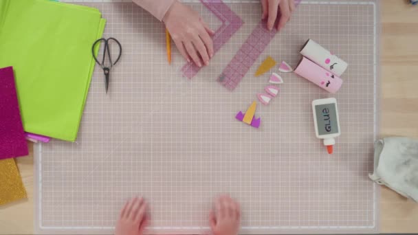 Flach Lag Schritt Für Schritt Aus Papier Und Leeren Toilettenpapierrollen — Stockvideo