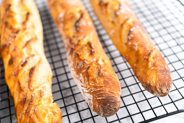 Taze Pişmiş Küçük Fransız Ekmeği — Stok fotoğraf
