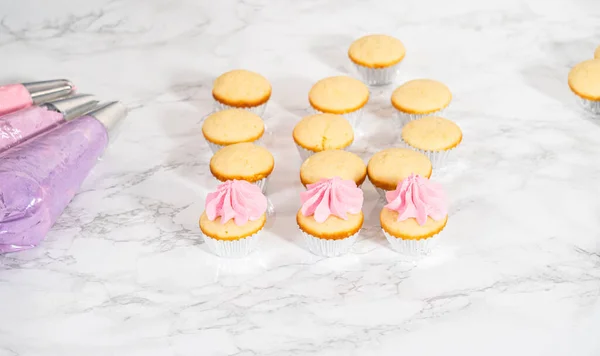 Pipping Ombre Ροζ Βουτυρόκρεμα Mini Cupcakes Βανίλιας — Φωτογραφία Αρχείου