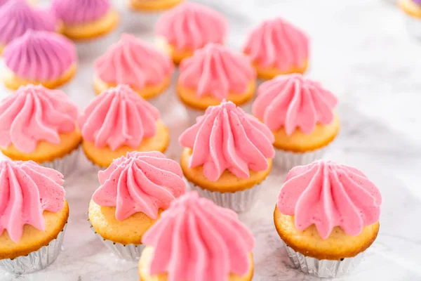 Piping Ombre Crema Mantequilla Rosa Glaseado Mini Cupcakes Vainilla —  Fotos de Stock
