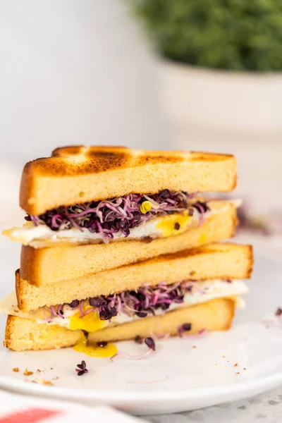 Petit Déjeuner Tranches Sandwich Aux Œufs Germes Sur Une Assiette — Photo