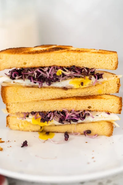 Petit Déjeuner Tranches Sandwich Aux Œufs Germes Sur Une Assiette — Photo