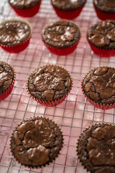 Kühlen Frisch Gebackene Schokoladen Pfefferminz Cupcakes Auf Der Küchentheke — Stockfoto