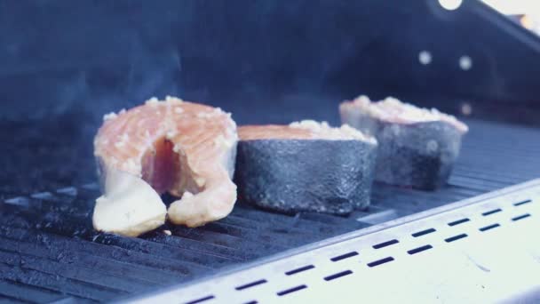 Grilling Salmon Steaks Outdoor Gas Grill — Stock Video