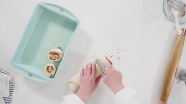 Düz yatıyordu. Fırınlanmamış tarçınlı çörekler mavi bir tavada.