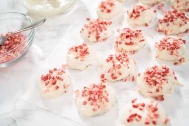 Naneli beyaz çikolatalı kurabiyeler hazırlamak için eritilmiş beyaz çikolataya çikolatalı kurabiyeler batırmak..