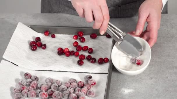 Krok Krokem Prepating Sugar Cranberries Organic Cranberries White Sugar — Stock video