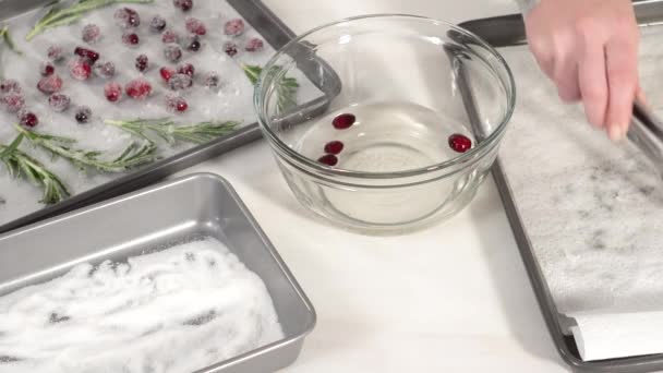 一歩ずつ 新鮮なクランベリーとローズマリーを砂糖で覆い チョコレートバンドルケーキをチョコレートの霜降りで飾ります — ストック動画