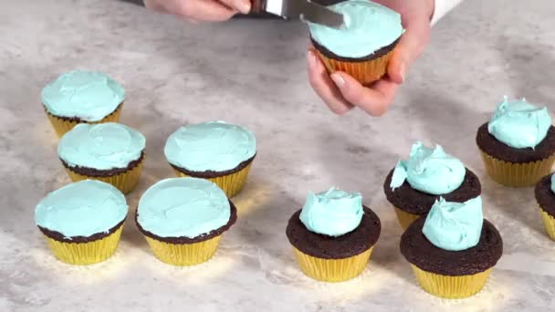 Time Lapse Decorating Chocolate Cupcakes Buttercream Frosting Rainbow Candy — Stock Video