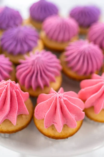 Frisch Gebackene Mini Vanille Cupcakes Mit Ombre Rosa Buttercreme Zuckerguss — Stockfoto
