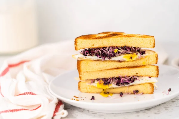 スライスした朝食の卵と白皿の上のもやしサンドイッチ — ストック写真
