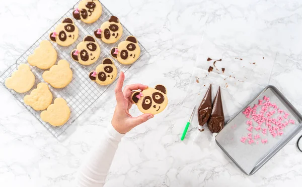 Flat lay. Icing panda-shaped shortbread cookies with chocolate icing.