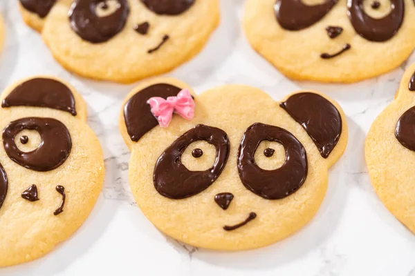 Panda Shaped Shortbread Cookies Chocolate Icing Kitchen Counter — Stock Photo, Image