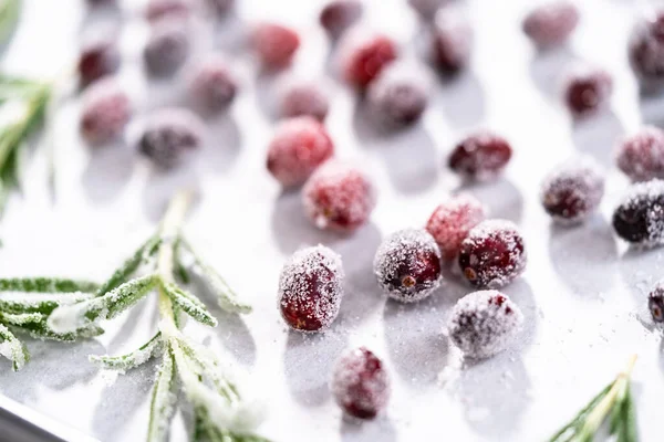 Cobrindo Cranberries Frescos Alecrim Açúcar Para Decorar Bolo Pacote Chocolate — Fotografia de Stock