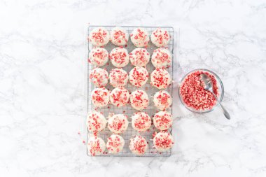 Düz yatıyordu. Naneli beyaz çikolatalı kurabiyeler hazırlamak için eritilmiş beyaz çikolataya çikolatalı kurabiyeler batırmak..