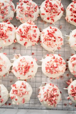 Naneli beyaz çikolatalı kurabiyeler hazırlamak için eritilmiş beyaz çikolataya çikolatalı kurabiyeler batırmak..