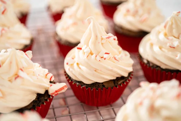 stock image Piping peppermint buttercream frosting on top of the chocolate cupcakes and decorating with crushed peppermint candy cane candies.