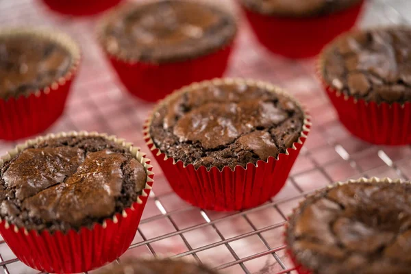 Refroidissement Cupcakes Menthe Poivrée Chocolat Fraîchement Cuits Sur Comptoir Cuisine — Photo
