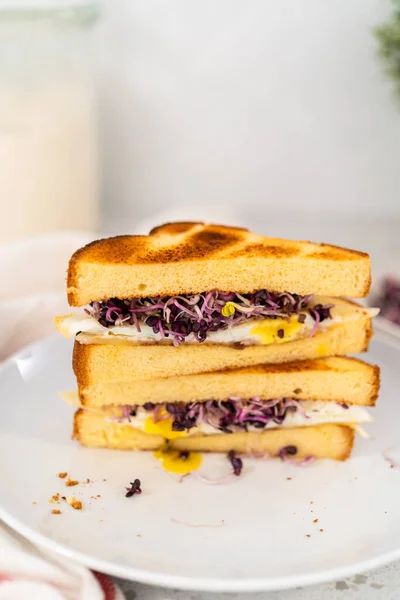 Нарезанный Сэндвич Яйцом Ростком Белой Тарелке — стоковое фото