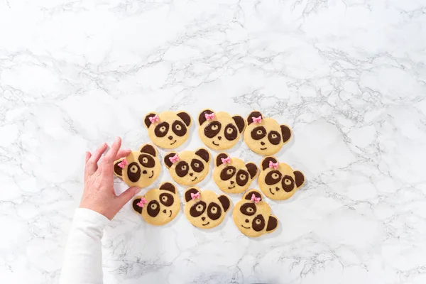 Flat Lay Panda Shaped Shortbread Cookies Chocolate Icing Kitchen Counter — Stock Photo, Image