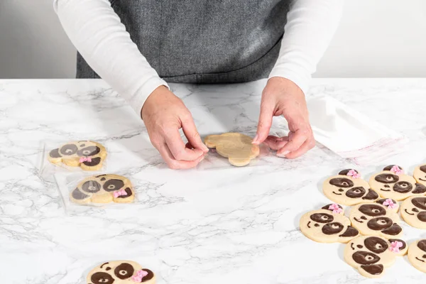 Emballage Biscuits Sablés Forme Panda Avec Glaçage Chocolat Dans Des — Photo
