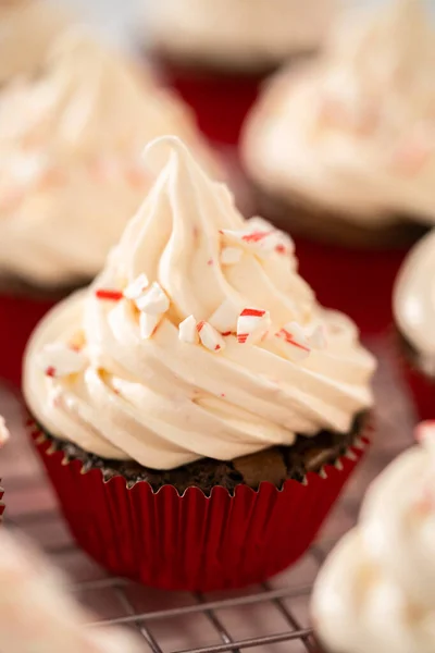 Piping Pepermunt Boterroom Glazuur Top Van Chocolade Cupcakes Versieren Met — Stockfoto
