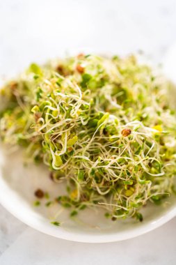 Measured ingredients in glass mixing bowls to make ham, cucumber, and sprout sandwiches.