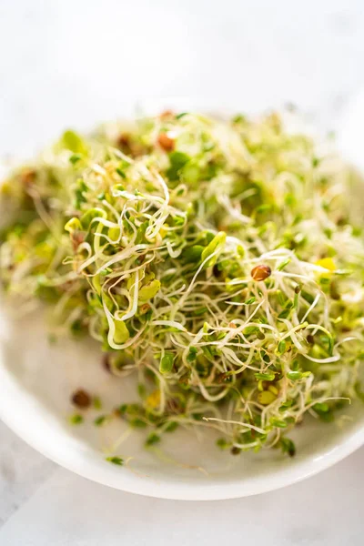 Measured Ingredients Glass Mixing Bowls Make Ham Cucumber Sprout Sandwiches — Foto de Stock